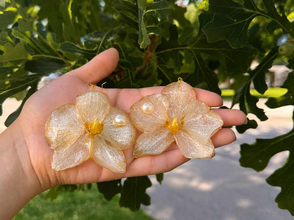 Petals of Light | Pétalos de Luz