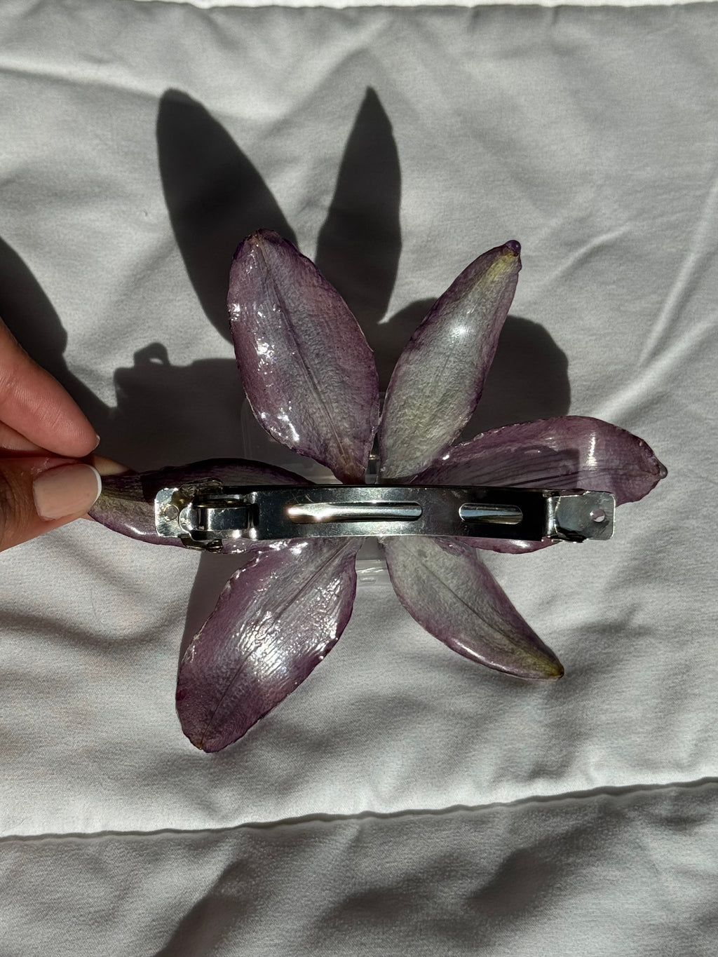 Dawn Lily | Lirio del Alba